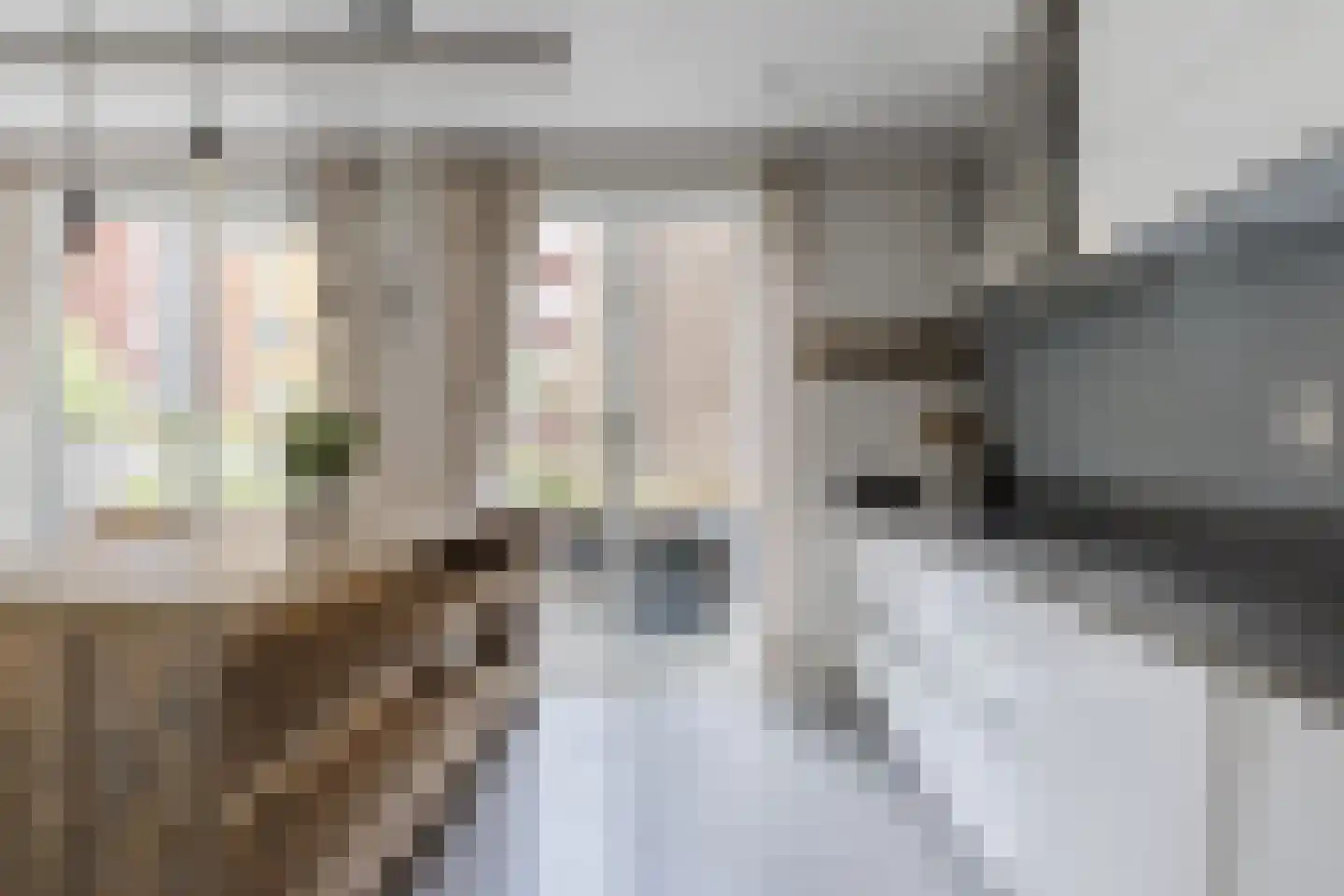 Jan Duikerhof 18 Diemen thumbnail 12
