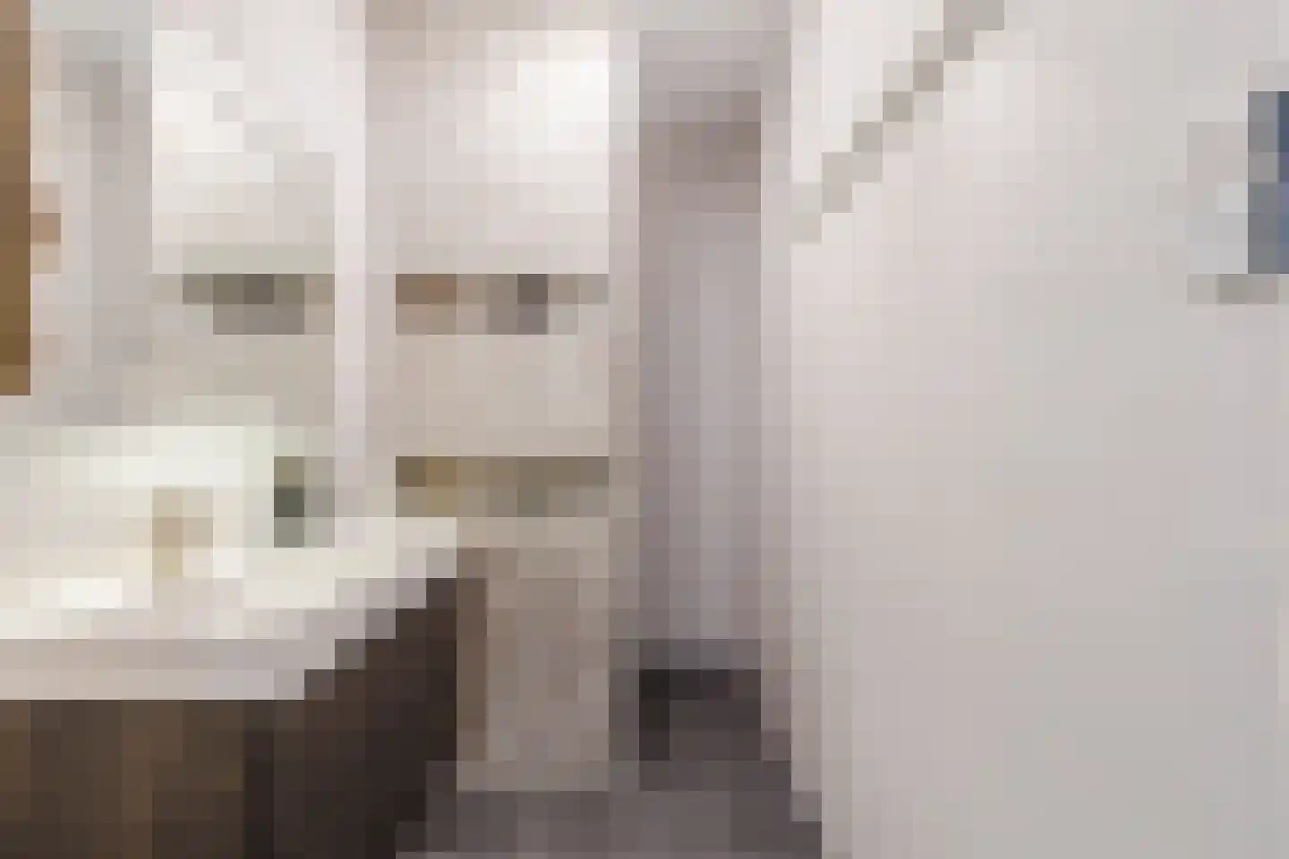 Jan Duikerhof 18 Diemen thumbnail 20