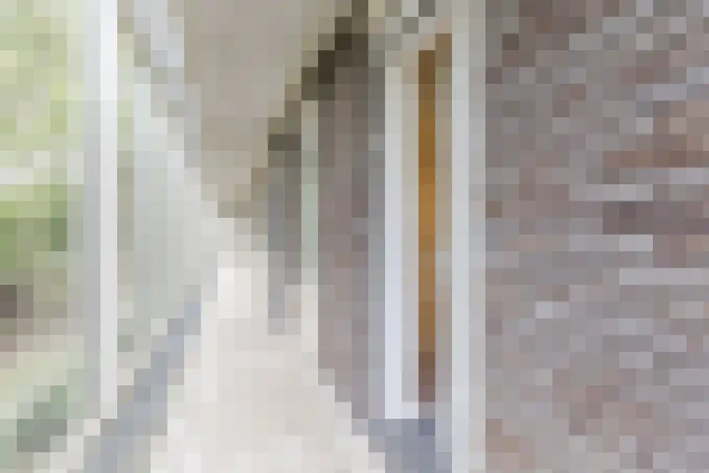 Jan Duikerhof 18 Diemen thumbnail 27