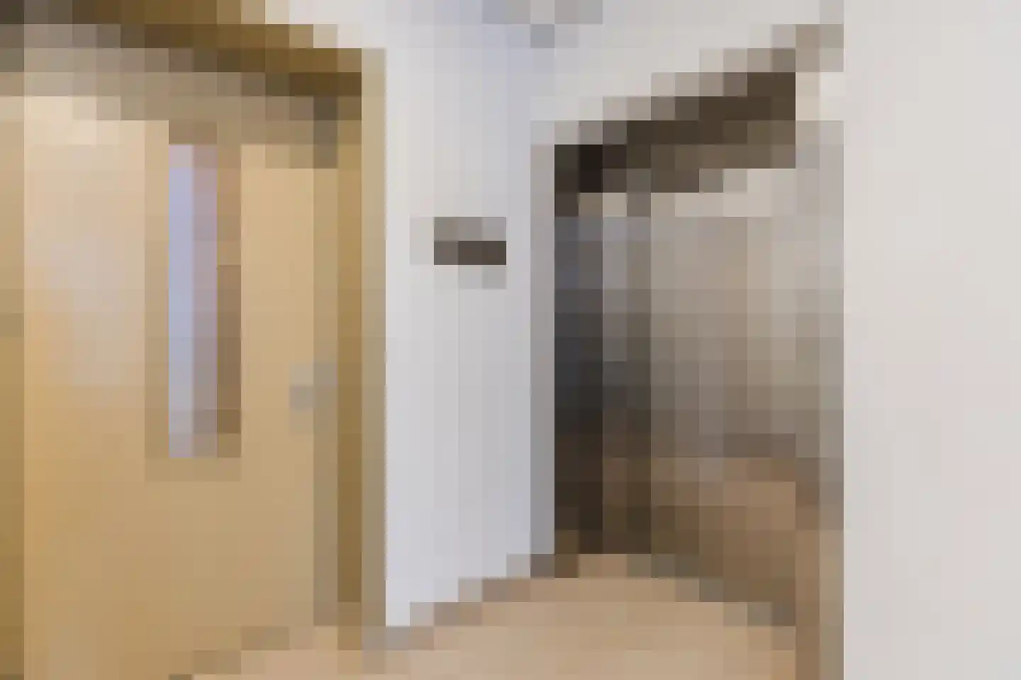 Jan Duikerhof 18 Diemen thumbnail 36