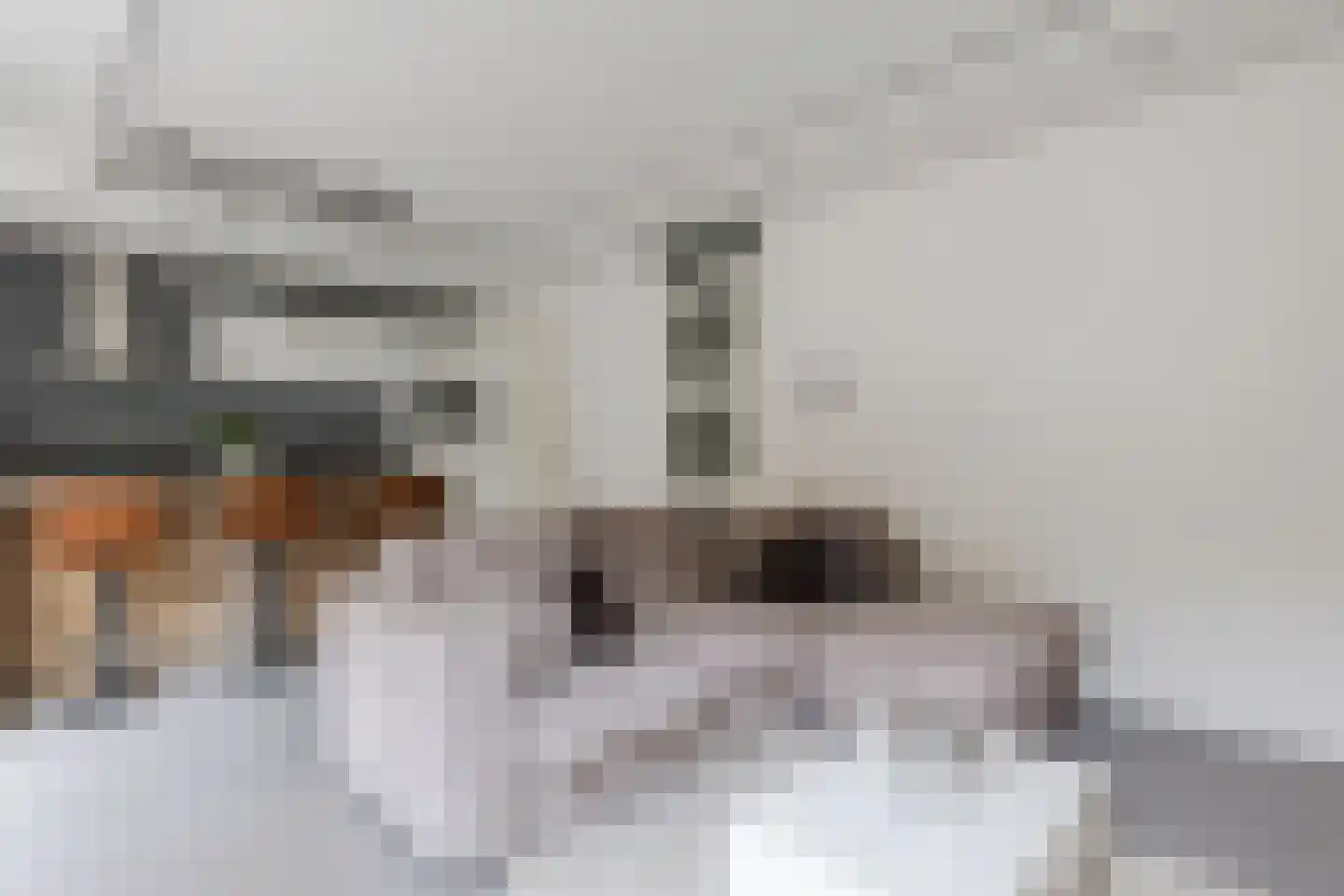 Jan Duikerhof 18 Diemen thumbnail 9