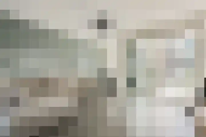 Jan Duikerhof 6 Diemen thumbnail 10