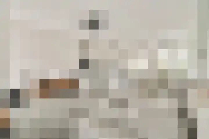 Jan Duikerhof 6 Diemen thumbnail 14