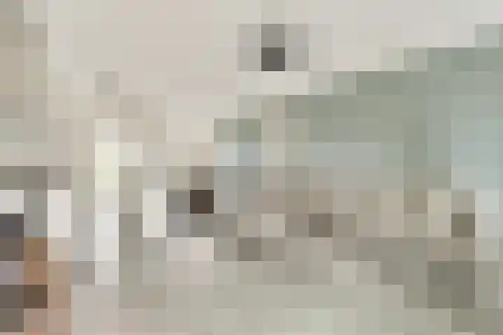 Jan Duikerhof 6 Diemen thumbnail 15