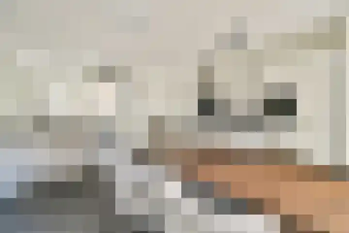 Jan Duikerhof 6 Diemen thumbnail 17