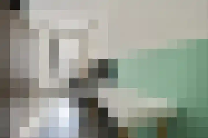 Jan Duikerhof 6 Diemen thumbnail 25