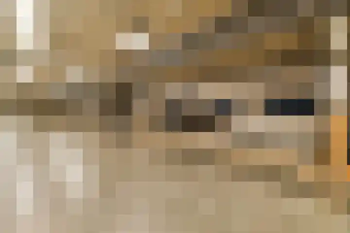 Jan Duikerhof 6 Diemen thumbnail 27