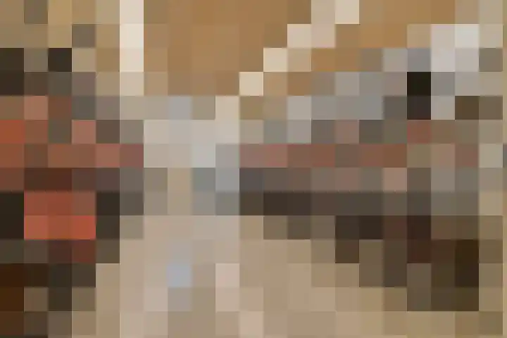 Jan Duikerhof 6 Diemen thumbnail 28