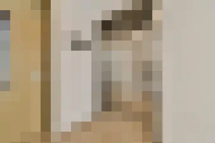 Jan Duikerhof 6 Diemen thumbnail 8