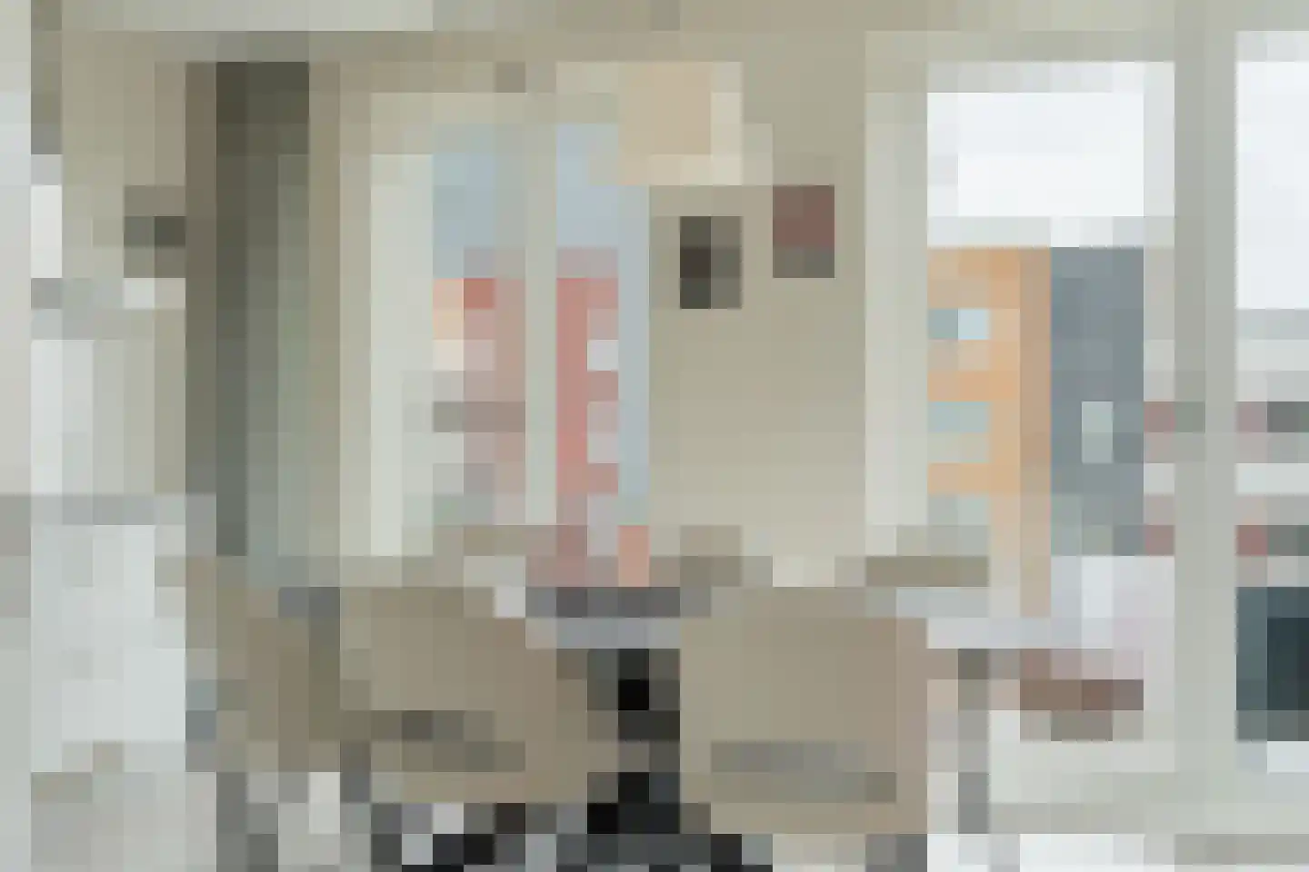 Jan Duikerhof 78 Diemen thumbnail 8