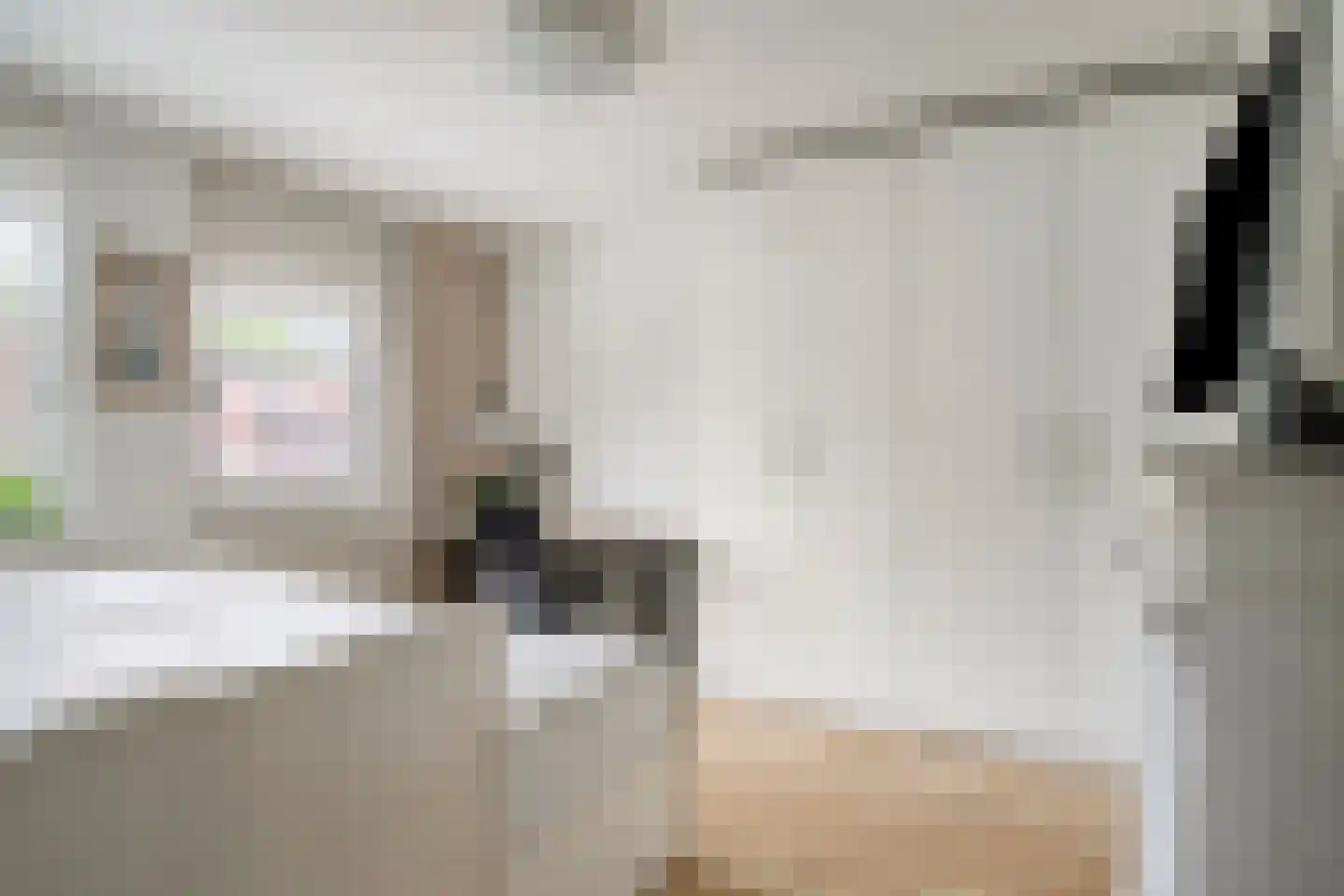Jan Duikerlaan 13 Eindhoven thumbnail 19