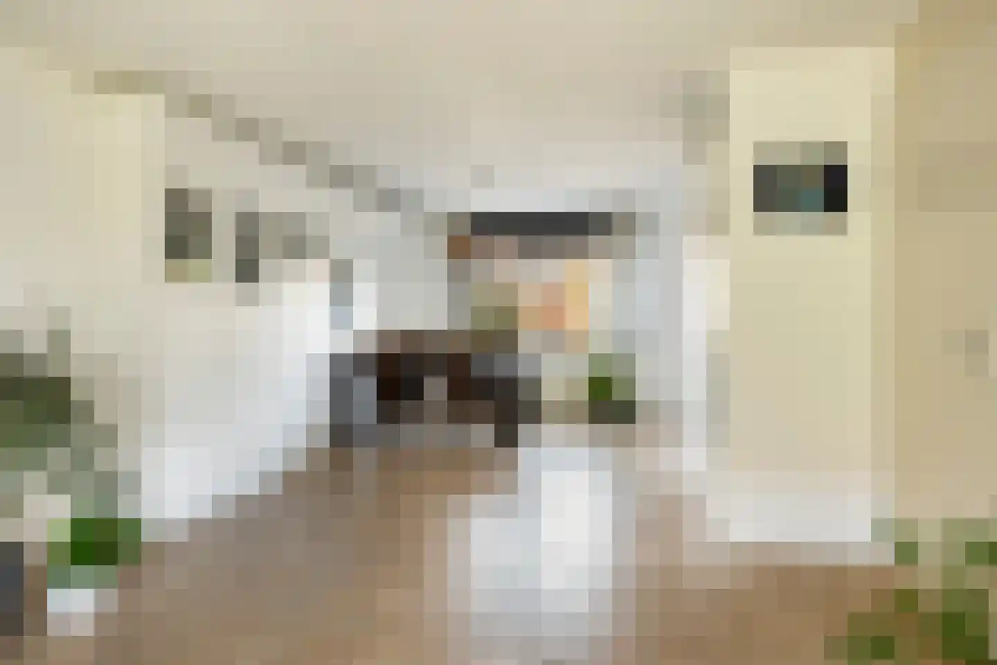 Jan Duikerlaan 18 Eindhoven thumbnail 12
