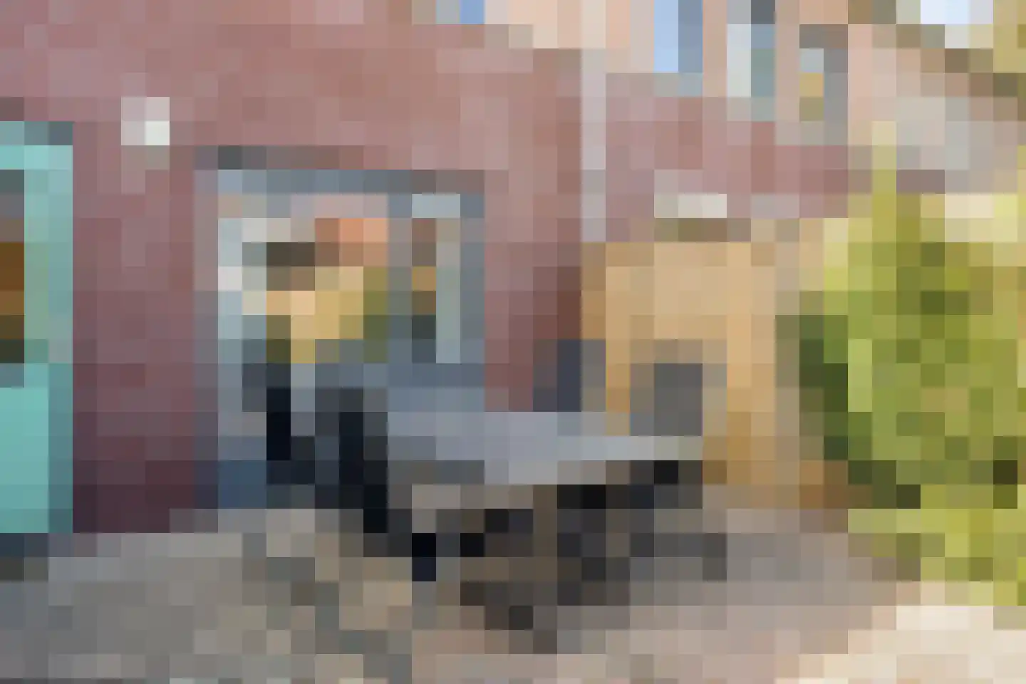 Jan Duikerlaan 18 Eindhoven thumbnail 19
