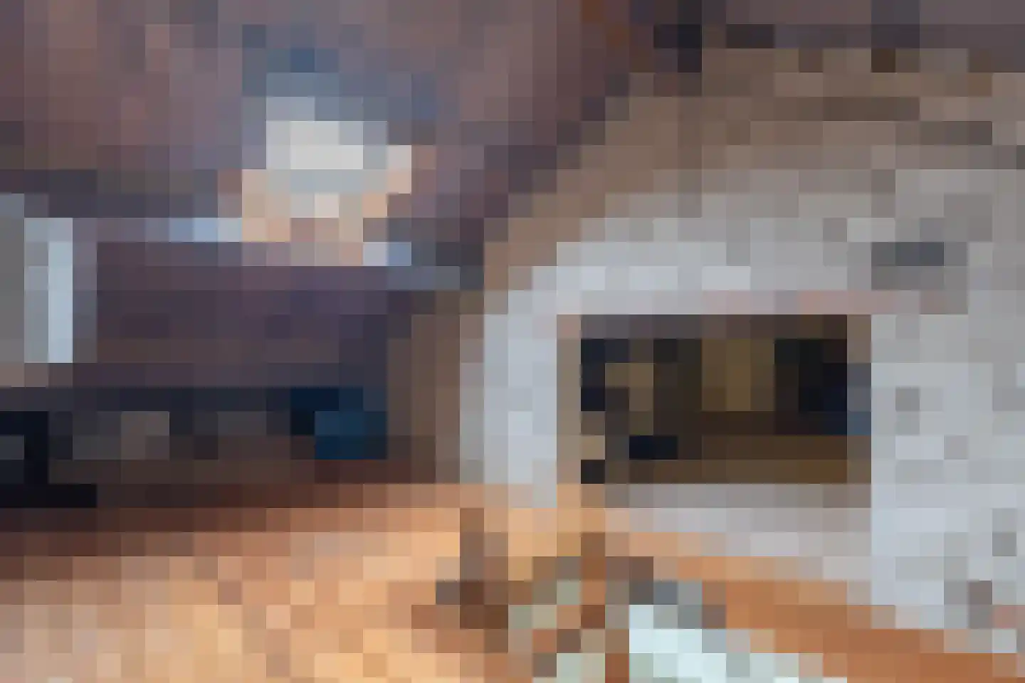 Jan Ekelsplein 21 Alkmaar thumbnail 35