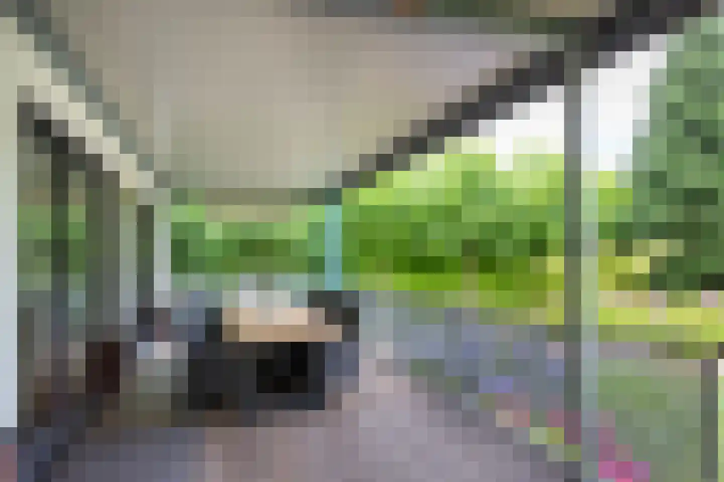 Jan Ettenstraat 6 A Helmond thumbnail 65