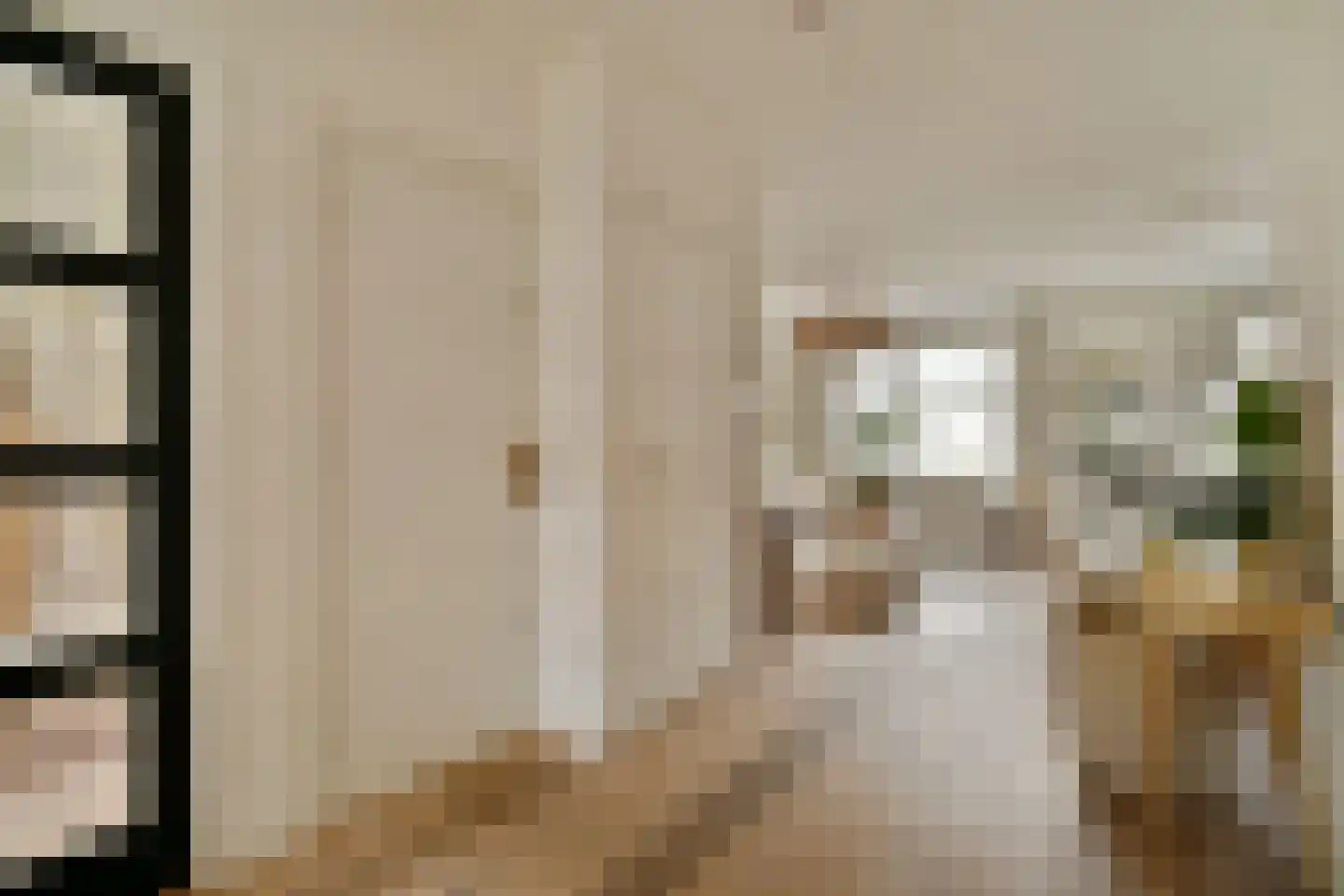 Jan Evertsenstraat 111 2 Amsterdam thumbnail 6