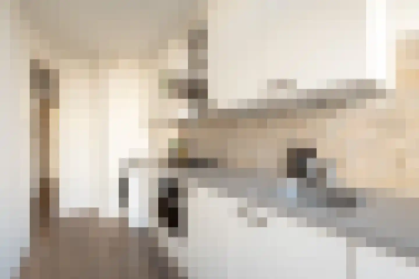 Jan Evertsenstraat 112 2 Amsterdam thumbnail 14