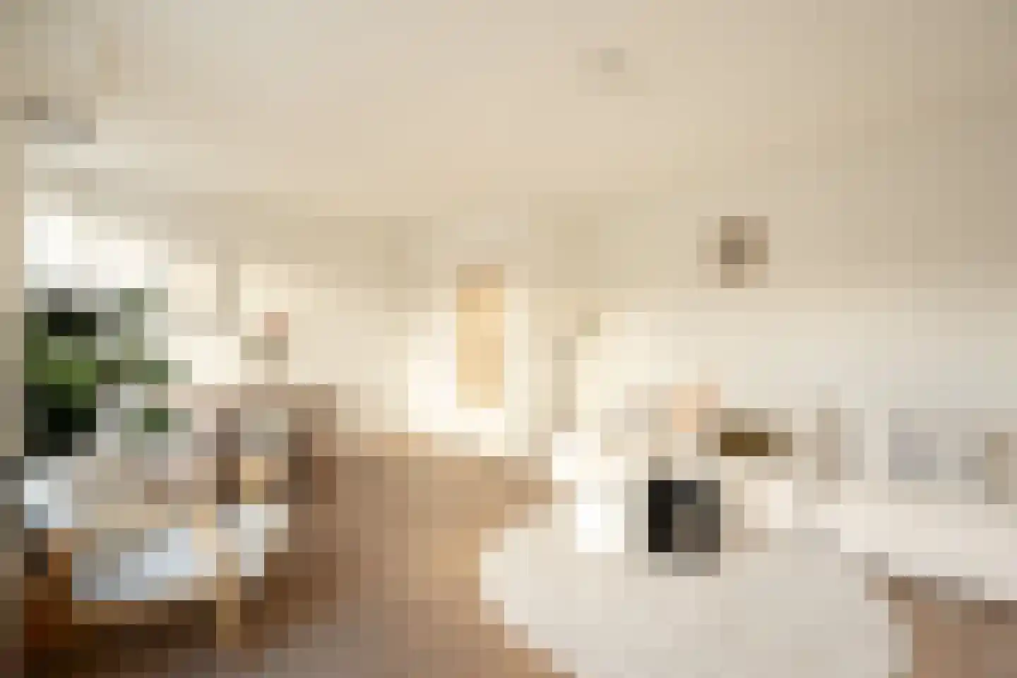 Jan Evertsenstraat 112 2 Amsterdam thumbnail 6