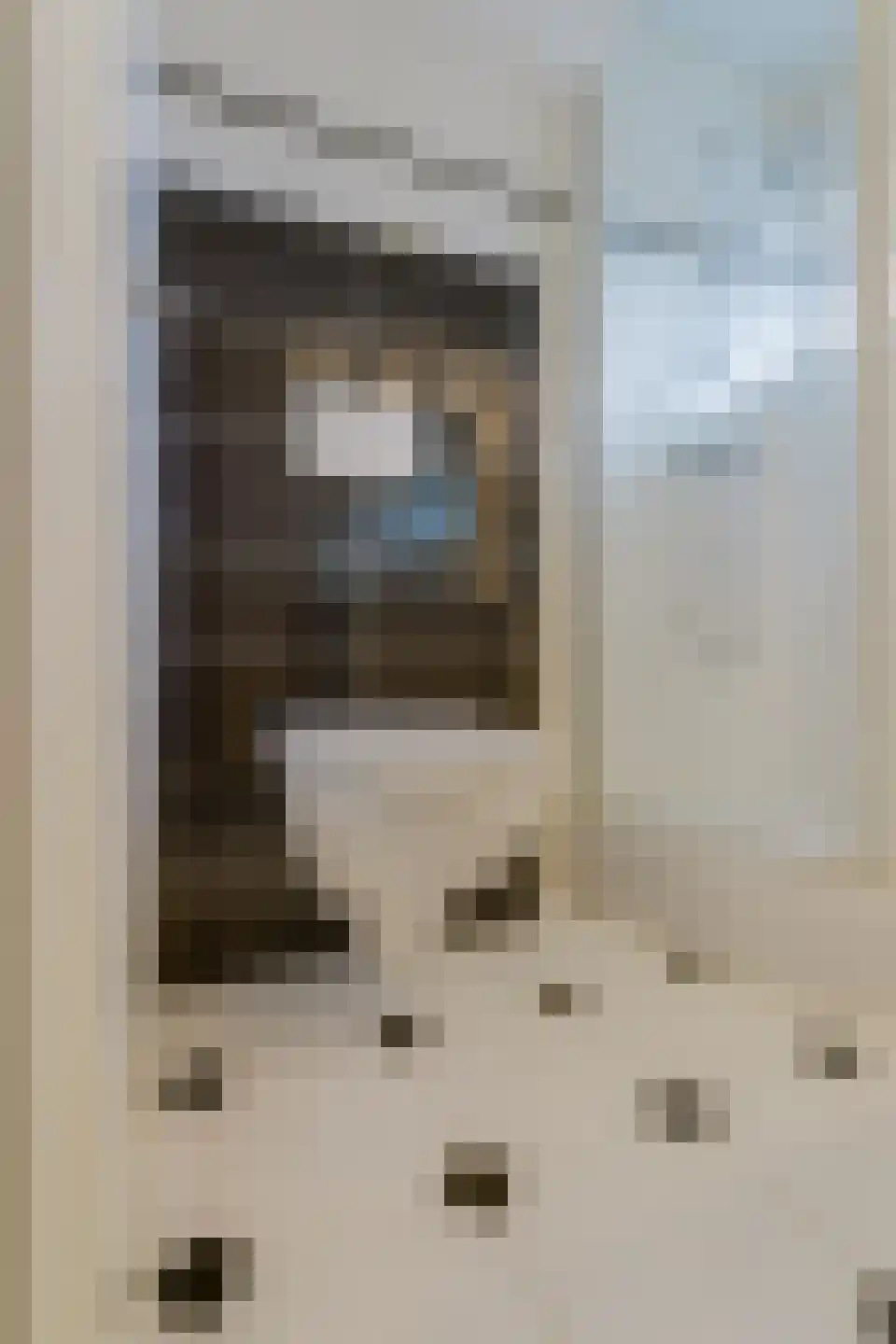 Jan Evertsenstraat 13 Geldrop thumbnail 22