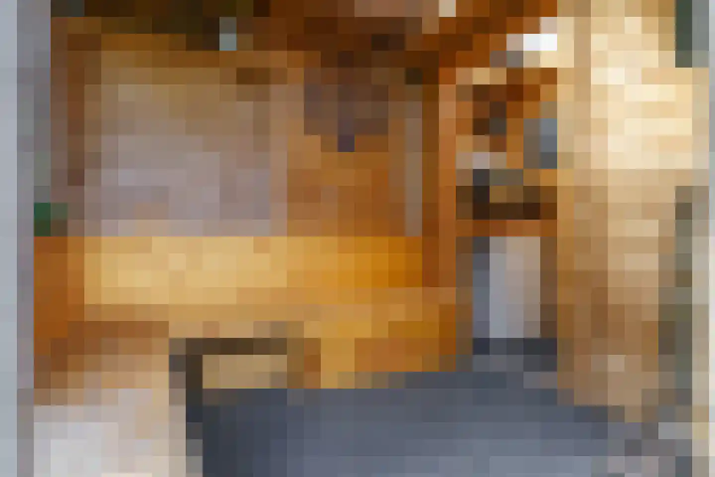 Jan Evertsenstraat 13 Geldrop thumbnail 33