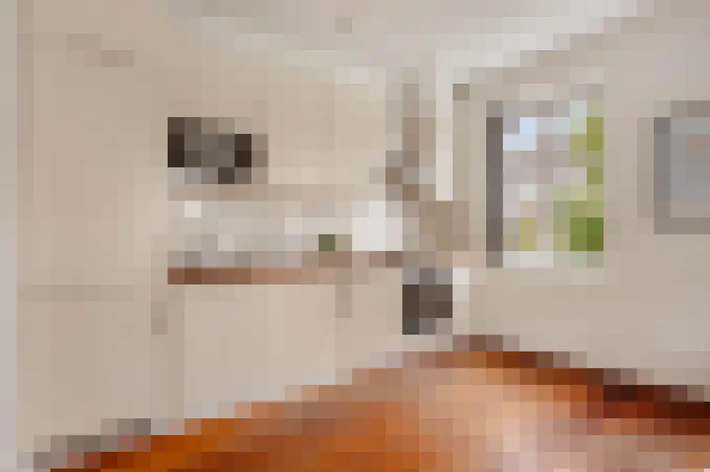 Jan Evertsenstraat 145 2 Amsterdam thumbnail 10