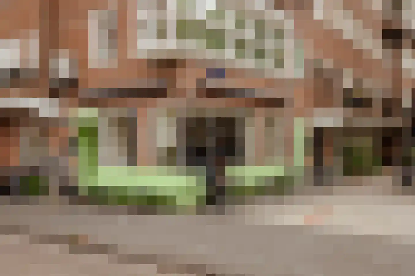 Jan Evertsenstraat 145 2 Amsterdam thumbnail 22