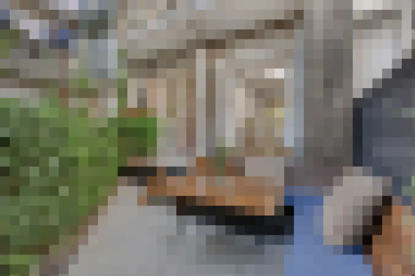 Jan Evertsenstraat 151 1 Amsterdam thumbnail 18