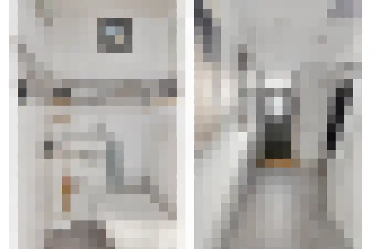 Jan Evertsenstraat 17 Geldrop thumbnail 10