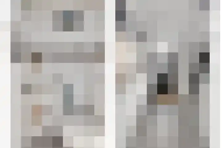 Jan Evertsenstraat 17 Geldrop thumbnail 10