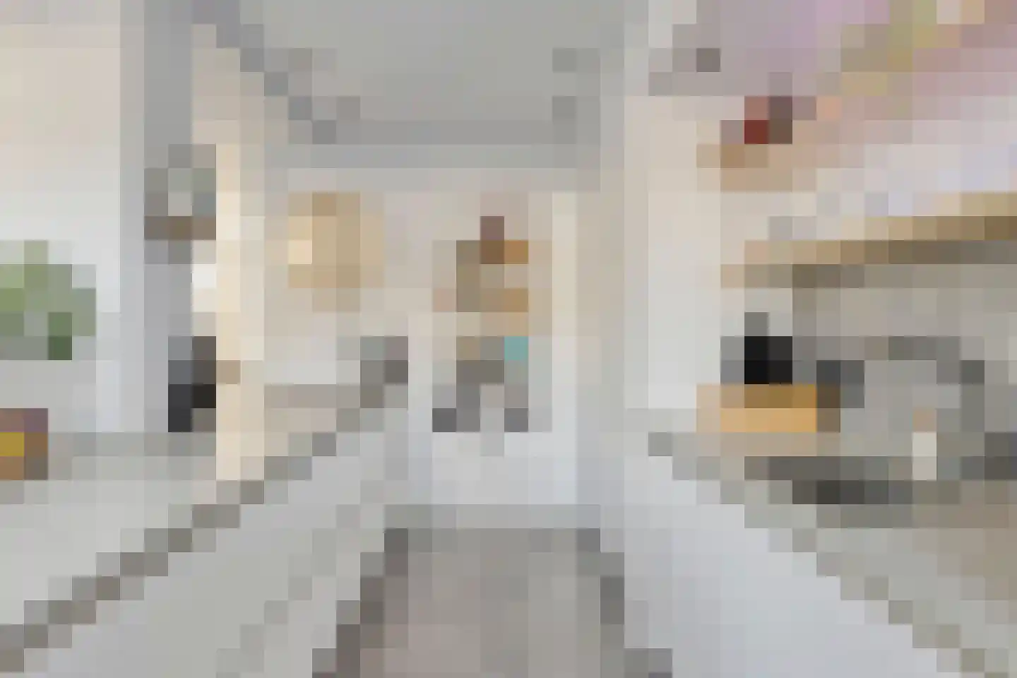 Jan Evertsenstraat 17 Geldrop thumbnail 11