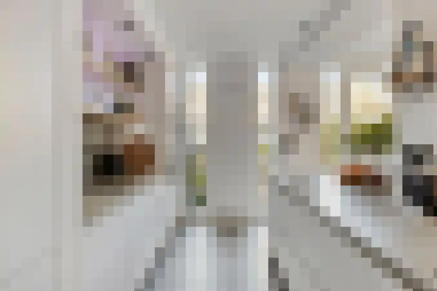 Jan Evertsenstraat 17 Geldrop thumbnail 13