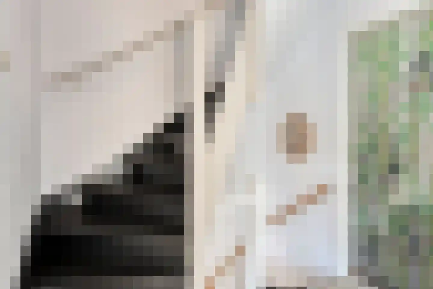 Jan Evertsenstraat 17 Geldrop thumbnail 16