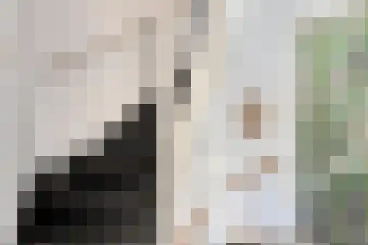 Jan Evertsenstraat 17 Geldrop thumbnail 16