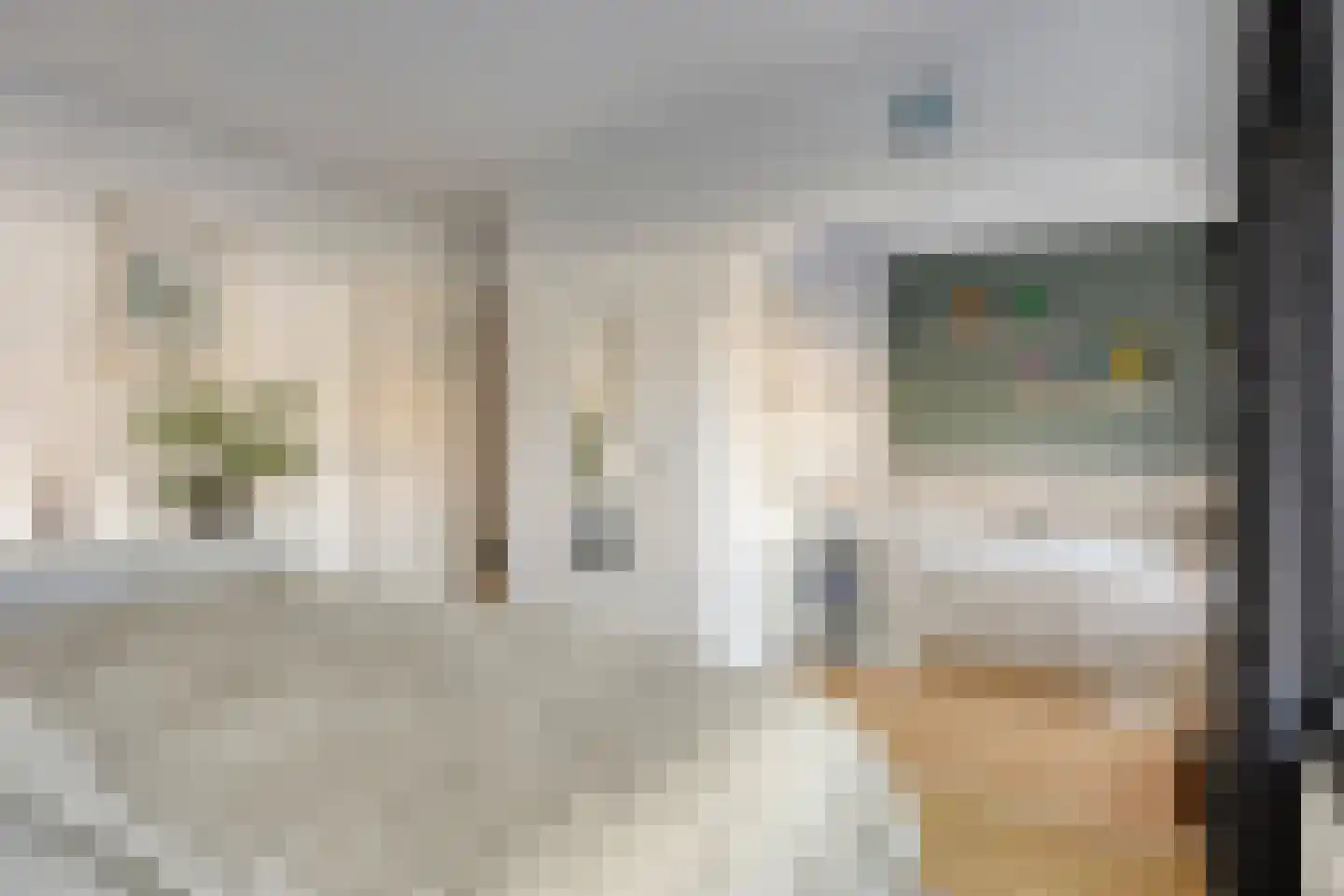 Jan Evertsenstraat 17 Geldrop thumbnail 18