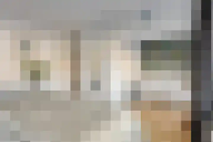 Jan Evertsenstraat 17 Geldrop thumbnail 18