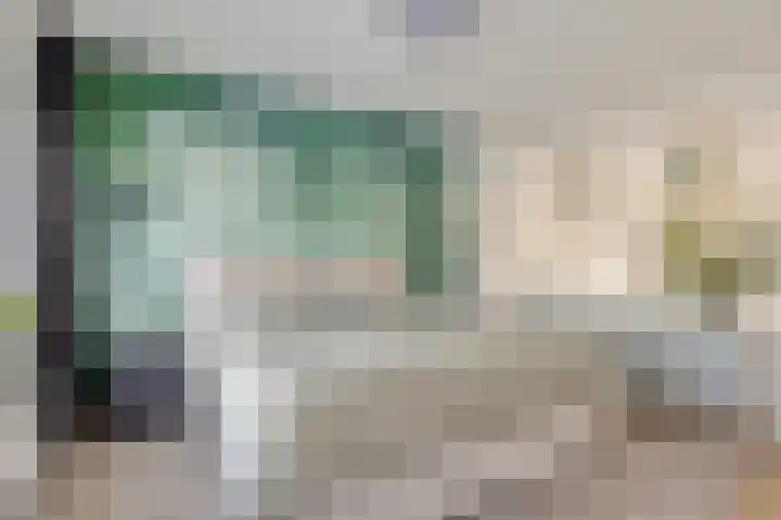 Jan Evertsenstraat 17 Geldrop thumbnail 19