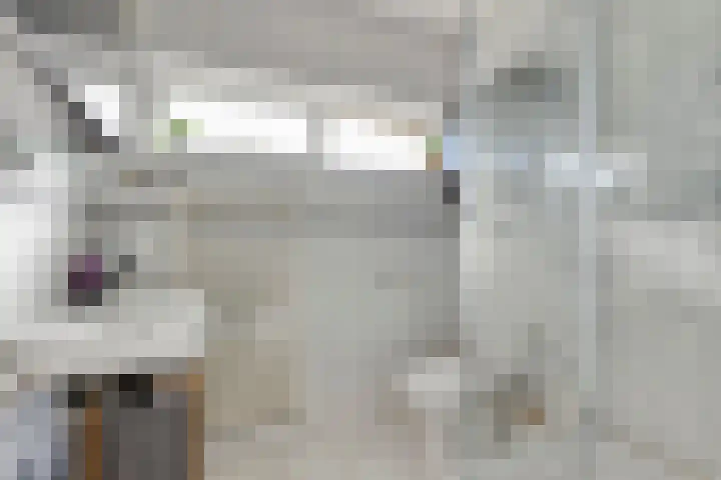 Jan Evertsenstraat 17 Geldrop thumbnail 22