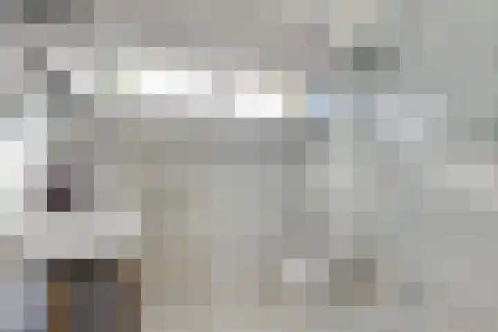 Jan Evertsenstraat 17 Geldrop thumbnail 22