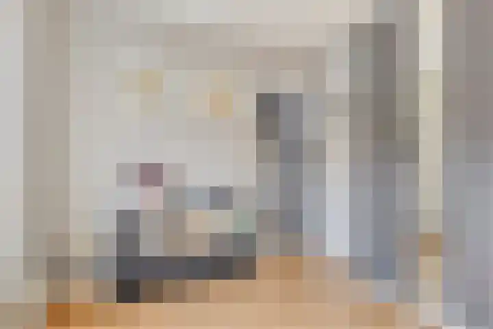 Jan Evertsenstraat 17 Geldrop thumbnail 25