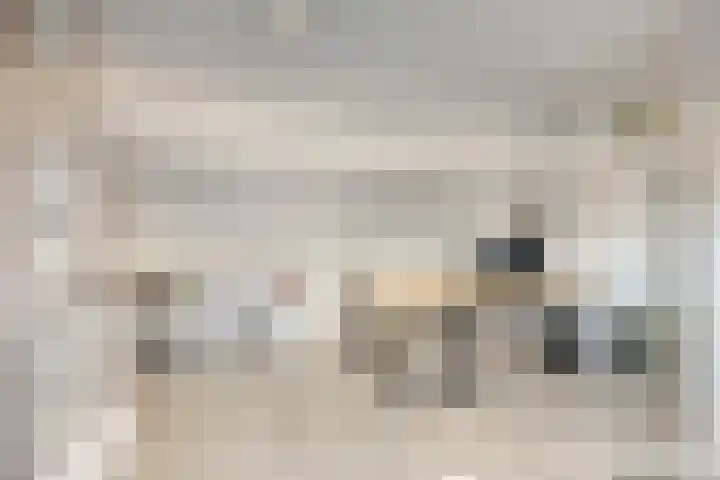 Jan Evertsenstraat 17 Geldrop thumbnail 29