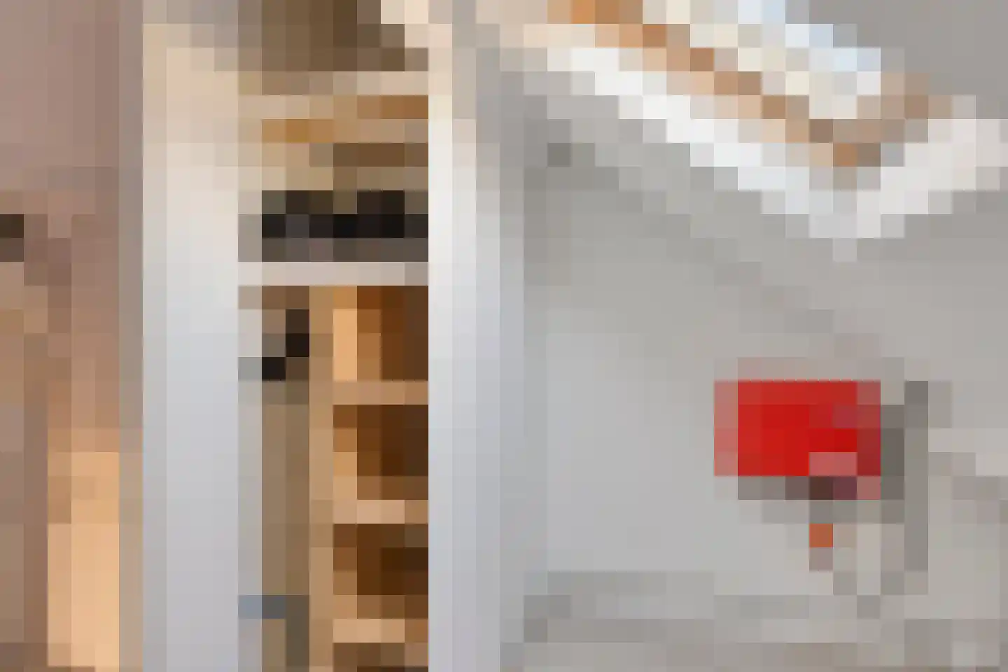 Jan Evertsenstraat 17 Geldrop thumbnail 30