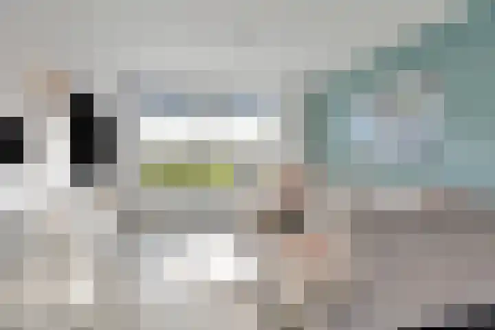 Jan Evertsenstraat 17 Geldrop thumbnail 4