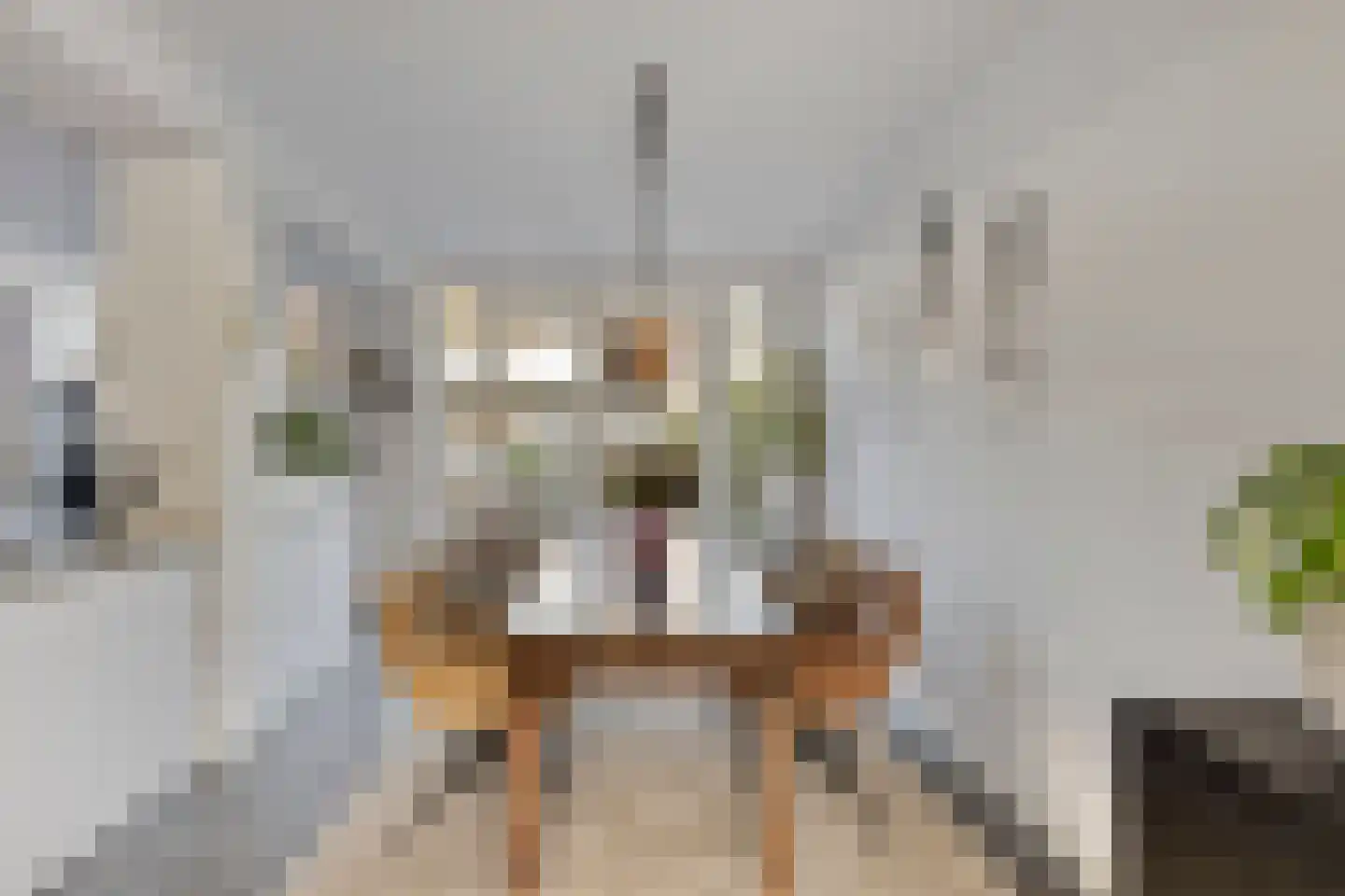 Jan Evertsenstraat 17 Geldrop thumbnail 5