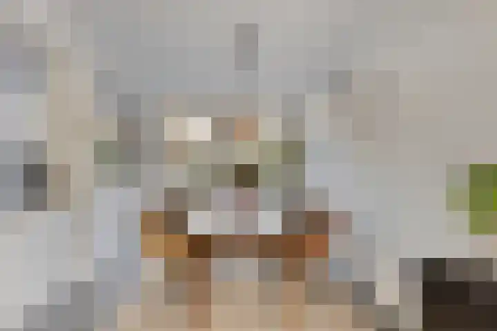 Jan Evertsenstraat 17 Geldrop thumbnail 5