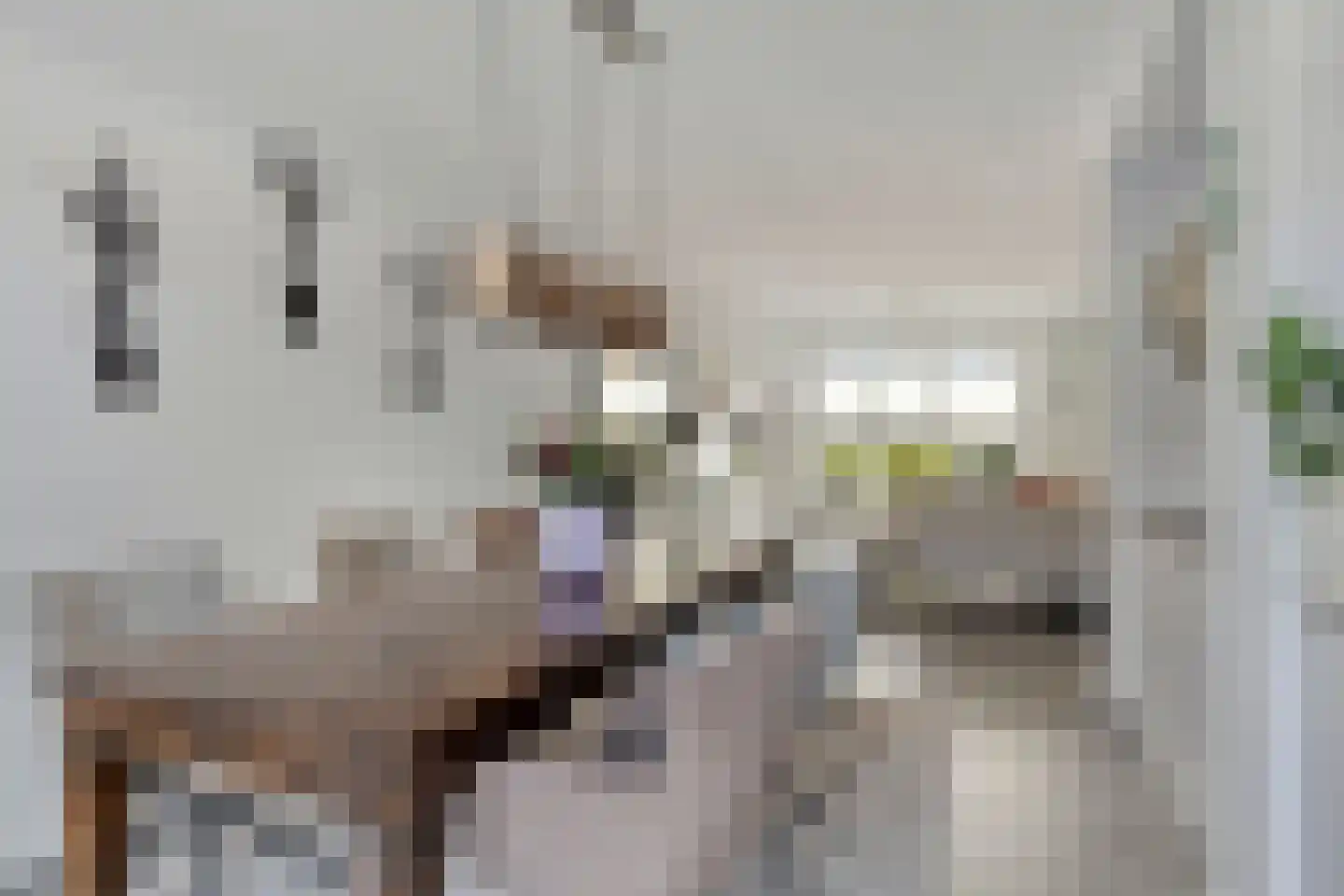Jan Evertsenstraat 17 Geldrop thumbnail 6