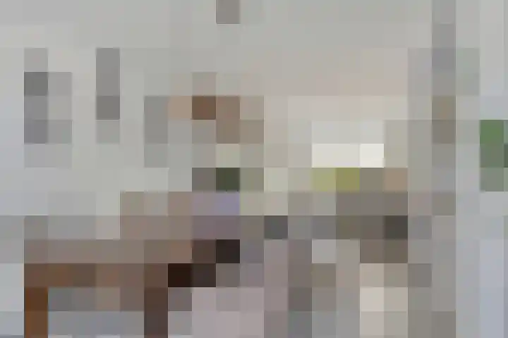Jan Evertsenstraat 17 Geldrop thumbnail 6