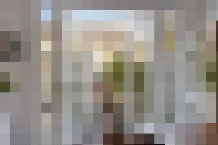 Jan Evertsenstraat 17 Geldrop thumbnail 8