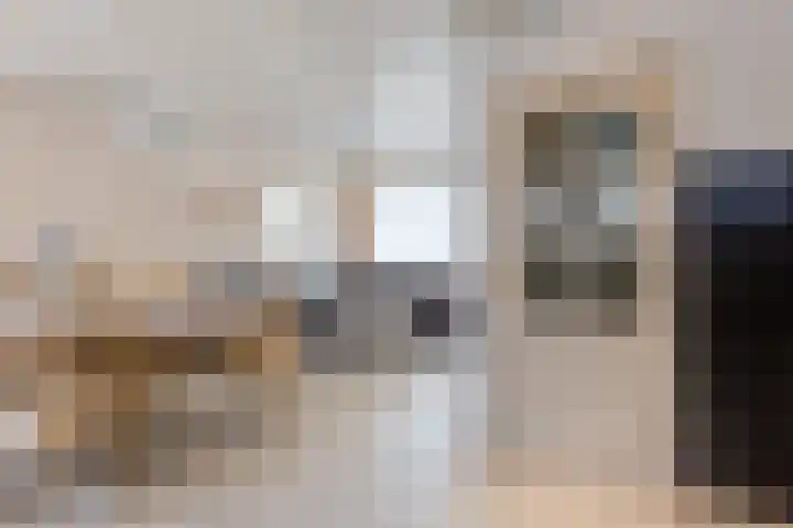 Jan Evertsenstraat 19 Tilburg thumbnail 8