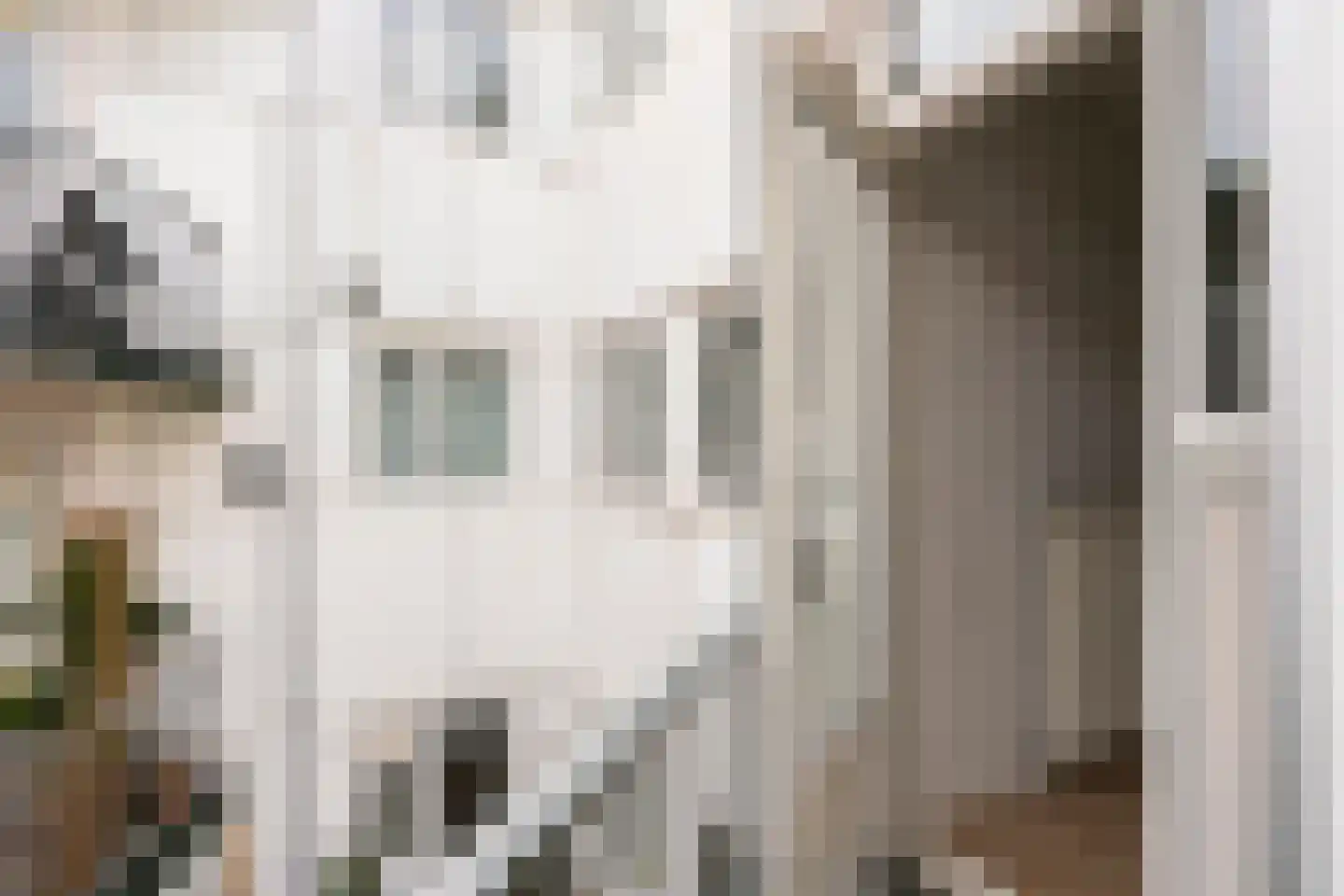 Jan Evertsenstraat 24 1 Amsterdam thumbnail 15