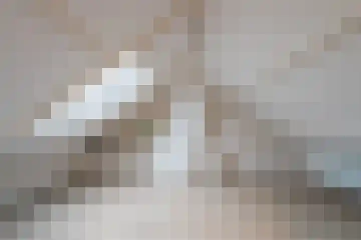 Jan Evertsenstraat 31 Tilburg thumbnail 20